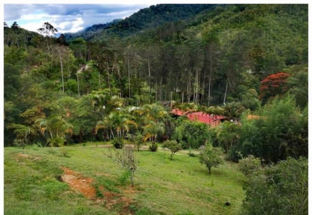 Navarro Mountain Cartago Exterior photo